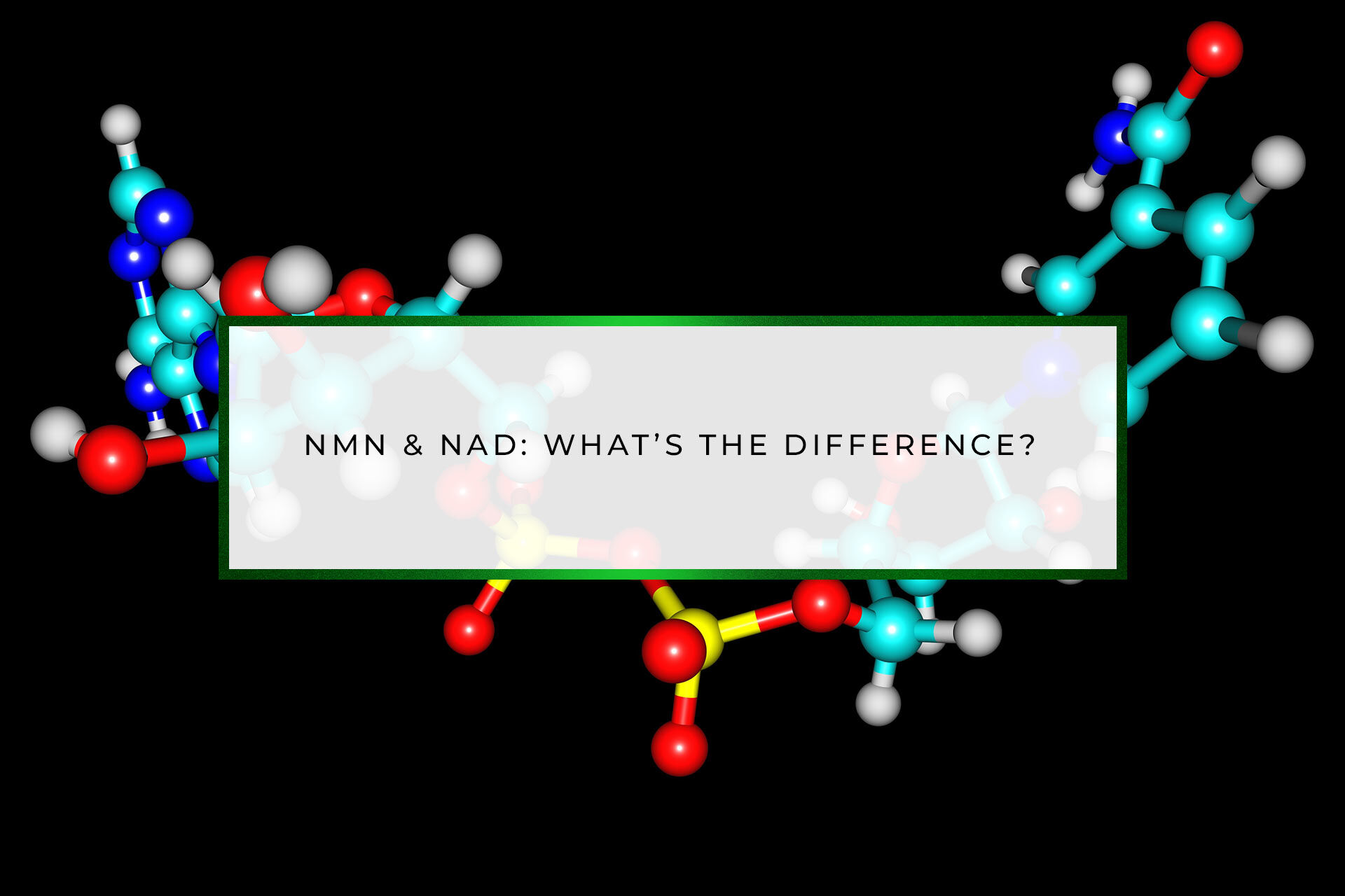 NMN & NAD: What’s the Difference? | CryoFit
